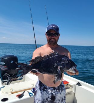 Black Sea Bass Thrill - OC, MD!